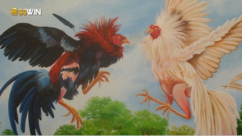 Gà Lai Chọi - Lựa chọn hoàn hảo cho người đam mê đá gà 4 ga-lai-choi-3